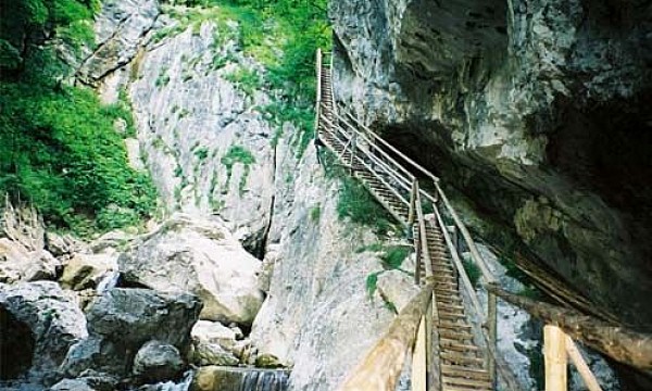 Fotka zľavy 